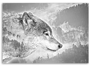 Gario Vászonkép Farkas havas háttérrel Méret: 60 x 40 cm