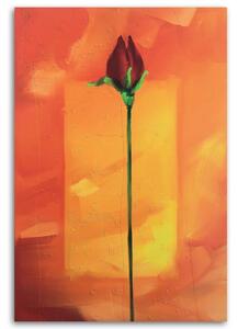 Gario Vászonkép Vörös rózsa narancssárga háttéren Méret: 40 x 60 cm
