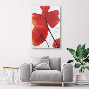 Gario Vászonkép Vörös pipacsok világos háttéren Méret: 40 x 60 cm