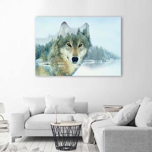 Gario Vászonkép Farkas hegyi háttérrel Méret: 60 x 40 cm