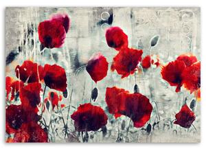 Gario Vászonkép Festett piros pipacsok fekete-fehér réten Méret: 60 x 40 cm