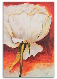 Gario Vászonkép Fehér pünkösdi rózsa - kézzel festett Méret: 40 x 60 cm