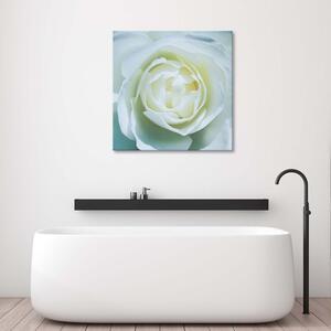 Gario Vászonkép Egy fehér rózsa közepe Méret: 30 x 30 cm