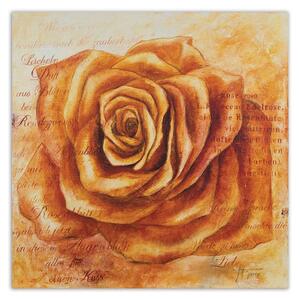 Gario Vászonkép Narancssárga rózsa fej Méret: 30 x 30 cm