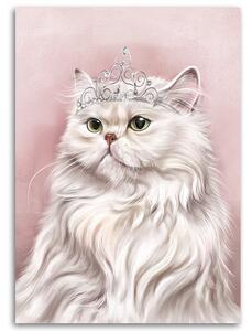 Gario Vászonkép Fehér királyi macska Méret: 40 x 60 cm
