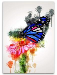 Gario Vászonkép Pillangó egy virágon - Cornel Vlad Méret: 40 x 60 cm