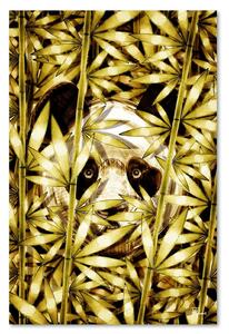 Gario Vászonkép Panda arany bambuszban - Rubiant Méret: 40 x 60 cm