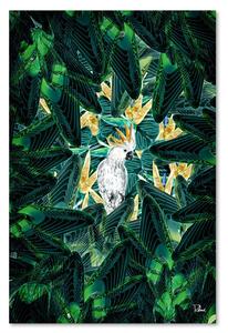 Gario Vászonkép Gyémánt papagáj levélben - Rubiant Méret: 40 x 60 cm