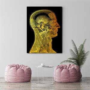 Gario Vászonkép Arany anatómia, az arc izmai - Gab Fernando Méret: 40 x 60 cm