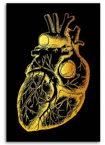 Gario Vászonkép Arany anatómia az emberi szív - Gab Fernando Méret: 40 x 60 cm