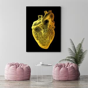 Gario Vászonkép Arany anatómia, szív - Gab Fernando Méret: 40 x 60 cm