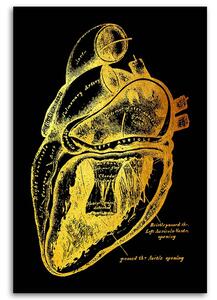 Gario Vászonkép Arany anatómia, szívmuködés - Gab Fernando Méret: 40 x 60 cm