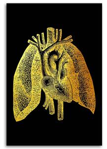 Gario Vászonkép Arany anatómia, emberi tüdo - Gab Fernando Méret: 40 x 60 cm