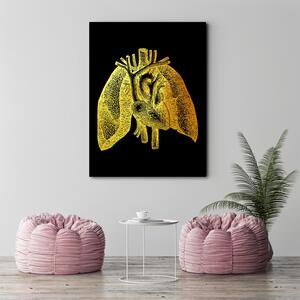 Gario Vászonkép Arany anatómia, emberi tüdo - Gab Fernando Méret: 40 x 60 cm