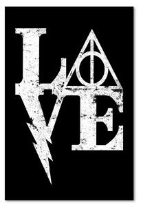 Gario Vászonkép Harry Potter, szeretet - Dr.Monekers Méret: 40 x 60 cm