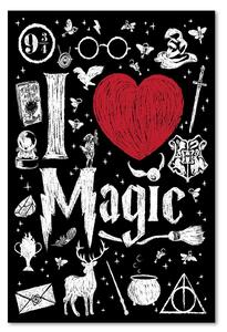 Gario Vászonkép Harry Potter, szeretem a varázslatot - Dr.Monekers Méret: 40 x 60 cm