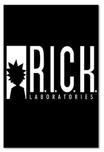 Gario Vászonkép R.I.C.K.K. labs animációs sorozat - Dr.Monekers Méret: 40 x 60 cm