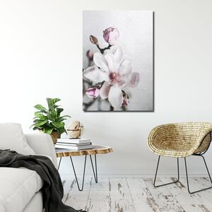 Gario Vászonkép Fehér magnólia virág - Dmitry Belov Méret: 40 x 60 cm