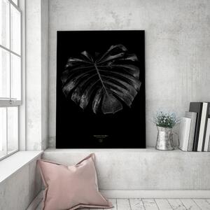 Gario Vászonkép Monstera részlet - Dmitry Belov Méret: 40 x 60 cm