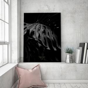 Gario Vászonkép Fekete-fehér monstera - Dmitry Belov Méret: 40 x 60 cm