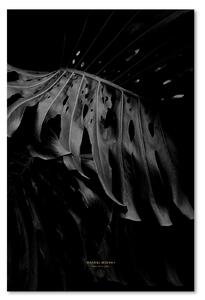 Gario Vászonkép Fekete-fehér monstera - Dmitry Belov Méret: 40 x 60 cm