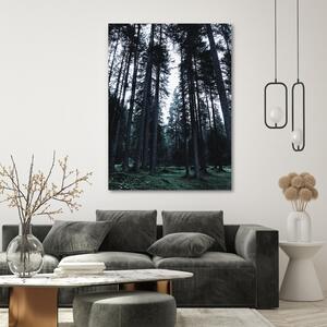Gario Vászonkép Erdő egy felhos napon - Dmitry Belov Méret: 40 x 60 cm