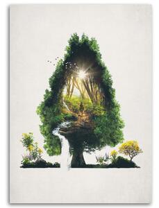 Gario Vászonkép Útvonal egy fán - Barrett Biggers Méret: 40 x 60 cm