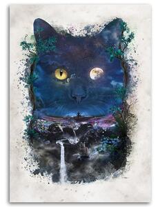 Gario Vászonkép Fekete macska éjszaka - Barrett Biggers Méret: 40 x 60 cm