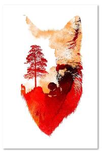 Gario Vászonkép Erdő egy róka fejében - Robert Farkas Méret: 40 x 60 cm