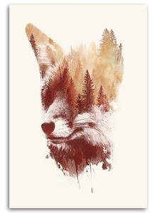 Gario Vászonkép Foxy tükör - Robert Farkas Méret: 40 x 60 cm