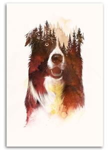 Gario Vászonkép Kutya az éjszakában - Robert Farkas Méret: 40 x 60 cm