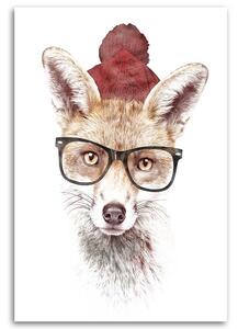 Gario Vászonkép Róka szemüvegben - Robert Farkas Méret: 40 x 60 cm