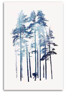 Gario Vászonkép Farkas télen - Robert Farkas Méret: 40 x 60 cm