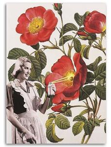 Gario Vászonkép No festés virágok - Lili Chartrand Méret: 40 x 60 cm
