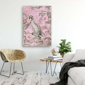 Gario Vászonkép Rózsaszín kakadu madár - Andrea Haase Méret: 40 x 60 cm