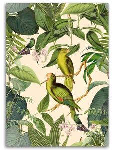 Gario Vászonkép Trópusi madarak a dzsungelben - Andrea Haase Méret: 40 x 60 cm