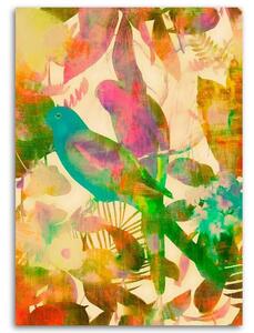 Gario Vászonkép Trópusi madarak 2 - Andrea Haase Méret: 40 x 60 cm