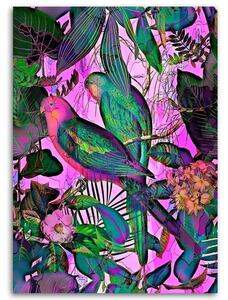 Gario Vászonkép Trópusi színes madarak - Andrea Haase Méret: 40 x 60 cm