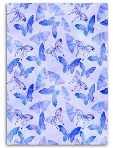 Gario Vászonkép Kék pillangók - Andrea Haase Méret: 40 x 60 cm