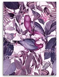 Gario Vászonkép Trópusi madarak 4 - Andrea Haase Méret: 40 x 60 cm