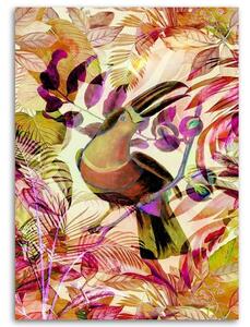 Gario Vászonkép Trópusi színu tukán - Andrea Haase Méret: 40 x 60 cm
