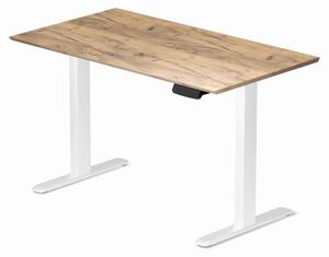 Profi elektromosan állítható magasságú íróasztal 120x67cm Craft tölgy | Dupla motor - Memória - USB - Nagy teherbírás | LVN System Control Pro