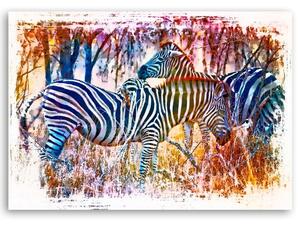 Gario Vászonkép Két színes zebra - Andrea Haase Méret: 60 x 40 cm