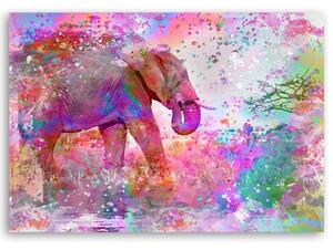 Gario Vászonkép Színes elefánt - Andrea Haase Méret: 60 x 40 cm