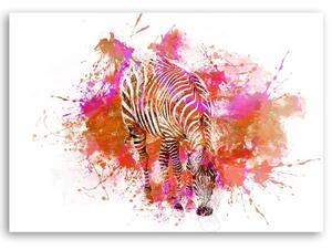 Gario Vászonkép Színes zebra akvarell - Andrea Haase Méret: 60 x 40 cm