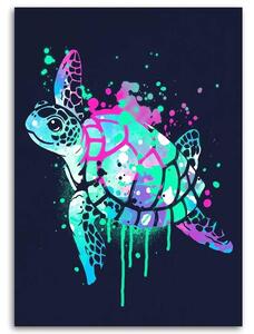 Gario Vászonkép Színes teknős - Noemi Fadda Méret: 40 x 60 cm