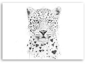 Gario Vászonkép Fekete-fehér leopárd - Rykker Méret: 60 x 40 cm