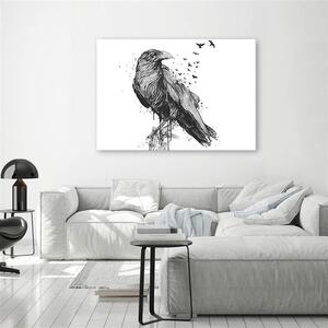 Gario Vászonkép Fekete-fehér madár - Rykker Méret: 60 x 40 cm
