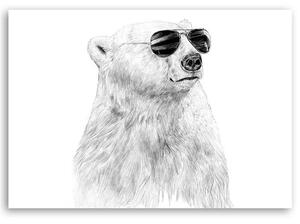 Gario Vászonkép Fekete-fehér medve szemüveggel - Rykker Méret: 60 x 40 cm