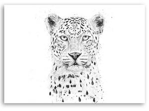 Gario Vászonkép Nagy leopárd fej - Rykker Méret: 60 x 40 cm
